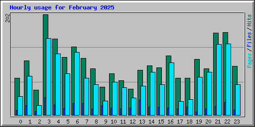 Hourly usage for February 2025