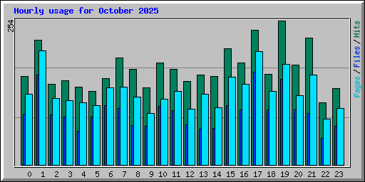 Hourly usage for October 2025