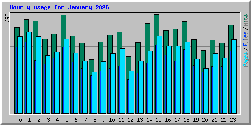Hourly usage for January 2026